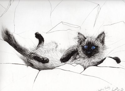Jouer bébé, 2006 - Vincent Alexander Booth